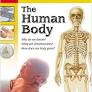 Tell Me About The Human Body