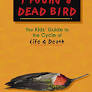 I Found a Dead Bird: The Kids' Guide to the Cycle of Life and Death
