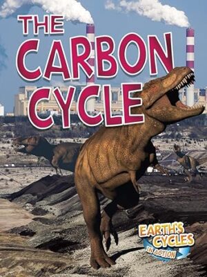 The Carbon Cycle
