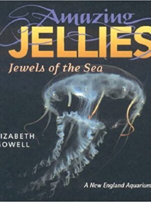 Amazing Jellies: Jewels of the Sea