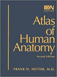 Atlas of Human Anatomy