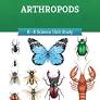 Arthropods- Insects, Spiders & Crustaceans- The Good and The Beautiful-Unit study for grades K-6