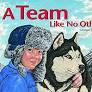 A Team Like No Other –softcover