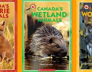 Canada Close Up: Canada's Animals set of 6