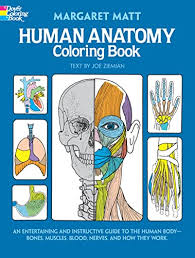 Human Anatomy Coloring Book