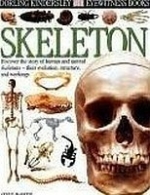 Skeleton - DK Eyewitness Books