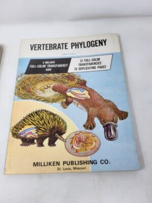 Vertebrate Phylogeny
